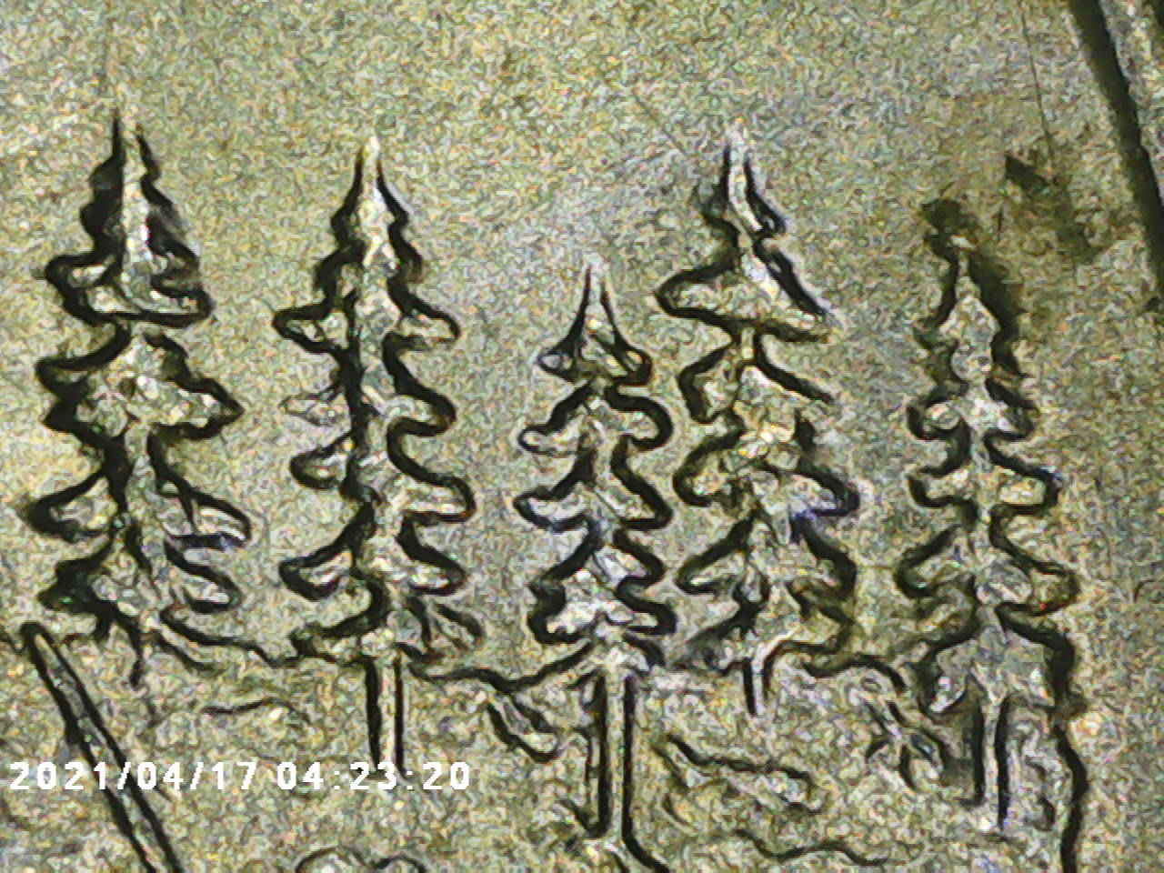 2005-P-Minnesota-Quarter-Possibly-New-Listing